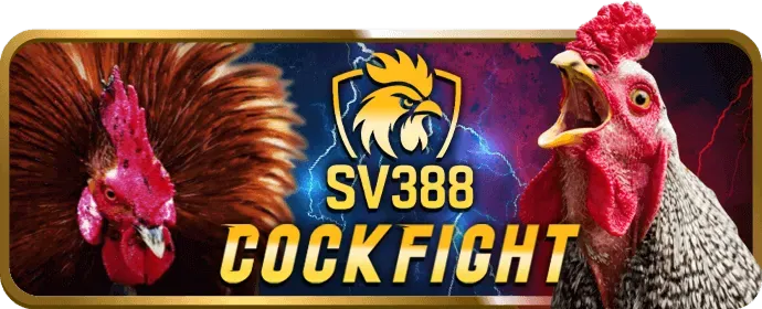 Bí quyết chơi casino trực tuyến K8BET với hình ảnh bàn bài và chip casino